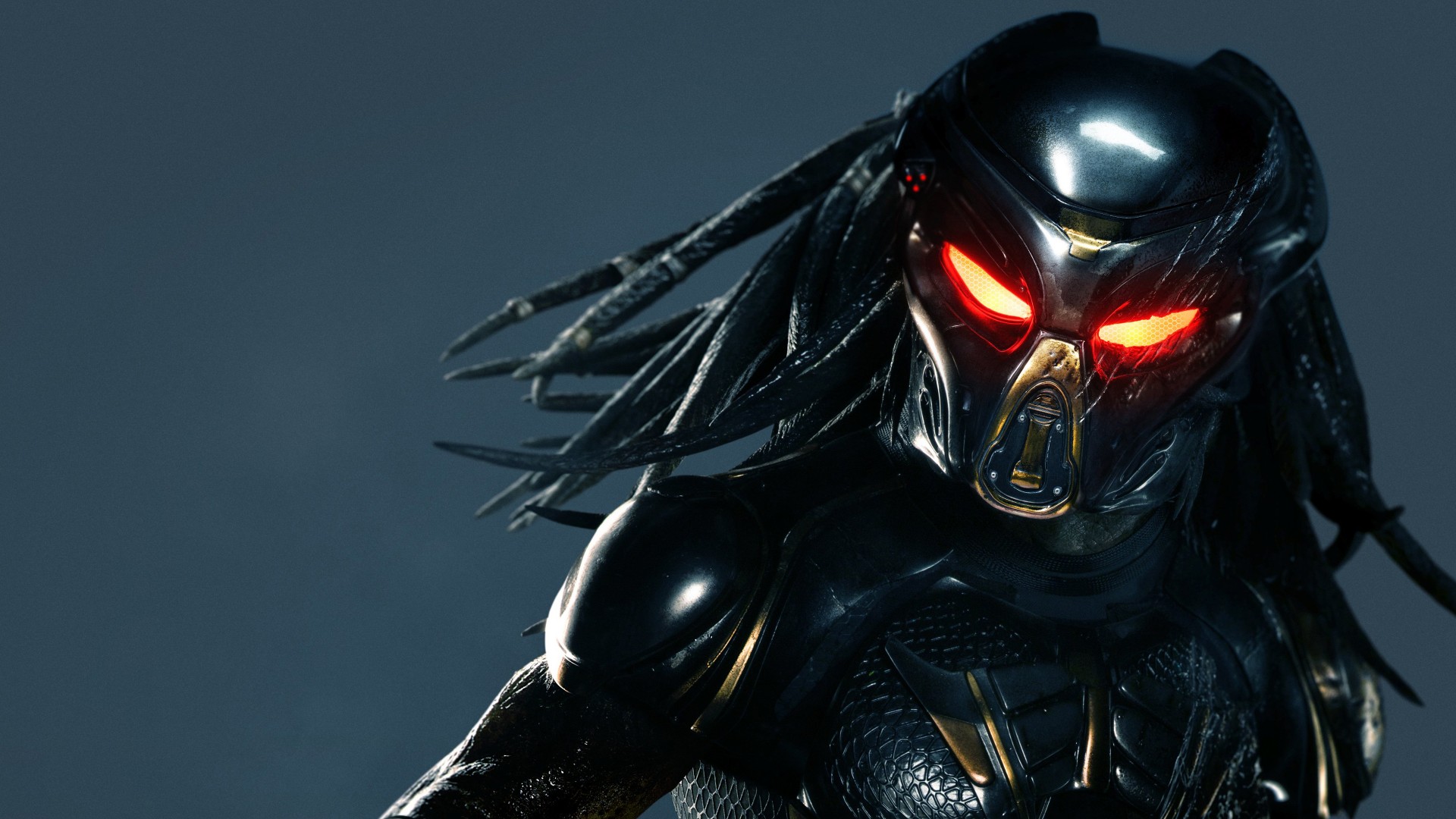 The Predator